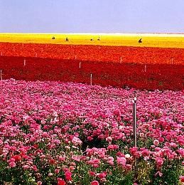 《七日世界》“永恒之地”独特机制：玩家的个人宇宙